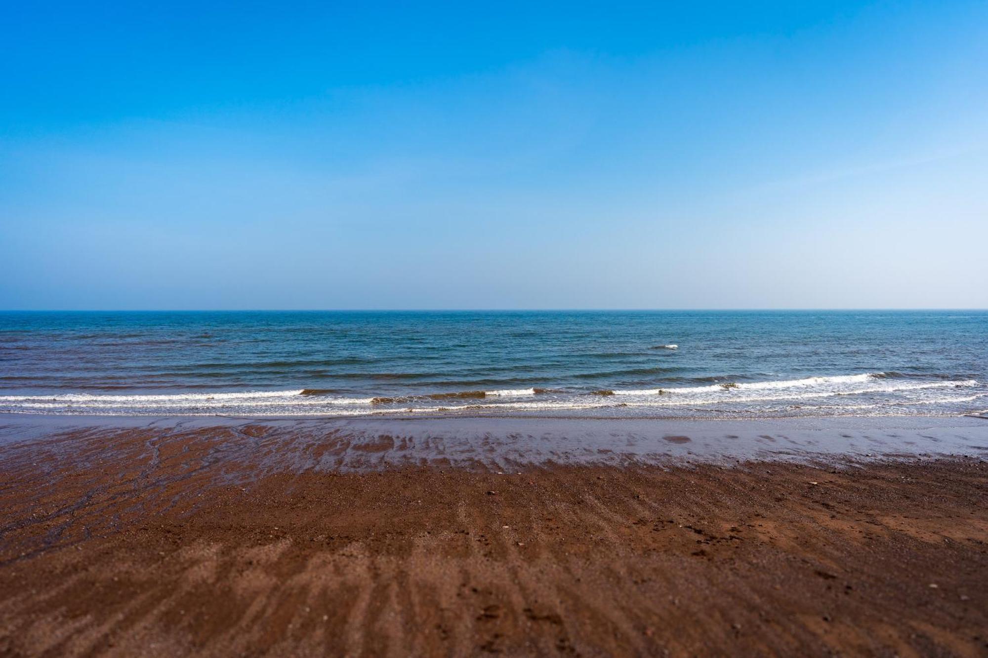 The Cottage - Characterful, Coastal Family Home With New Hot Tub Dawlish Exterior foto